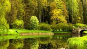 Очарование природы. Эдгар Туниянц. Музыка высоких вибраций.