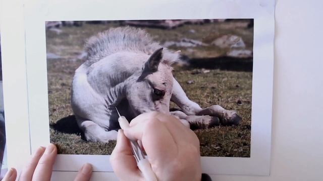 Using Transfer Paper to Create Your Outline смотреть онлайн