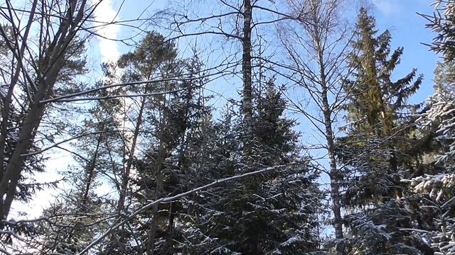 РЕЛ смотреть онлайн