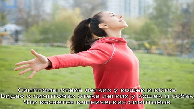 Что делать, если кошка или кот тяжело дышит открытым ртом? смотреть онлайн