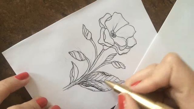 Illustration of Lisianthus смотреть онлайн