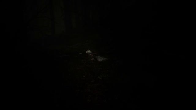 прохождение игры Blair Witch - часть 10 : мужик без ноги смотреть онлайн