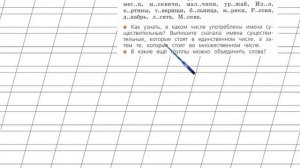 Страница 61 Упражнение 105 «Имя существительное» - Русский язык 2 класс (Канакина, Горецкий) Часть
