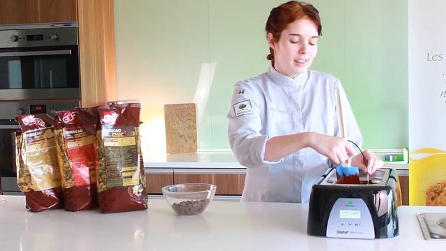 Обзор аппарата для плавки шоколада Martellato 3.6 л MCD101 смотреть онлайн