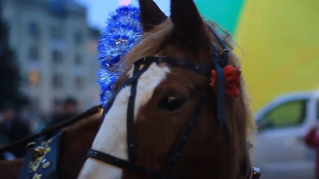 Официальная встреча Дедушки Мороза и Санта-Клауса смотреть онлайн