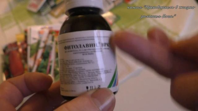 Лук может погибнуть если выбрать не тот препарат для обработки смотреть онлайн