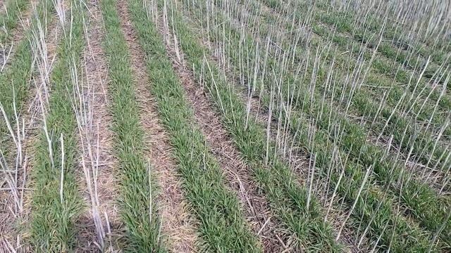 2 апреля 2021 г. смотреть онлайн