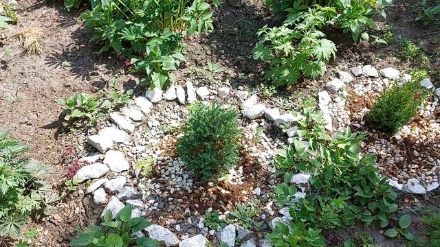 ?ВЛОГ?♀️ОЧКИ ДЛЯ ЗРЕНИЯ/ПОЛ ПОЧТИ ГОТОВ/НОВЫЙ СТУЛ?ПЕРЕКРАСКА ДАЧИ/ОЗЕРО И ХОРОШЕЕ НАСТРОЕНИЕ❤️ смотреть онлайн