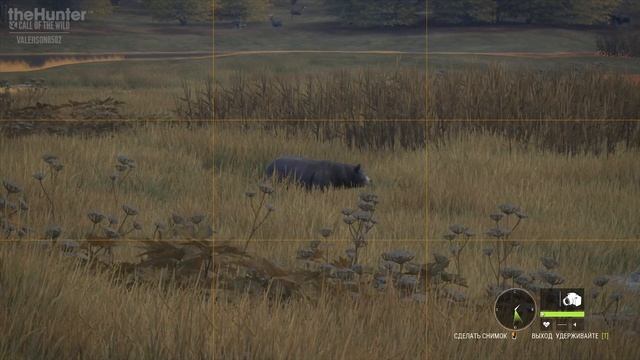 TheHunter_COTW_018_Трэмфайн_Фото_Мистера_Блэка_/полная версия/