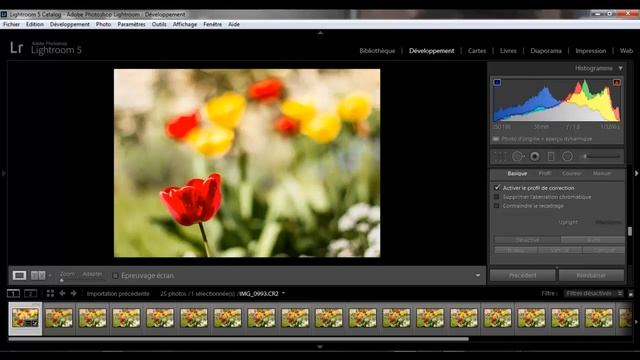 LIGHTROOM 5 modifier plusieurs photos en une seul fois смотреть онлайн