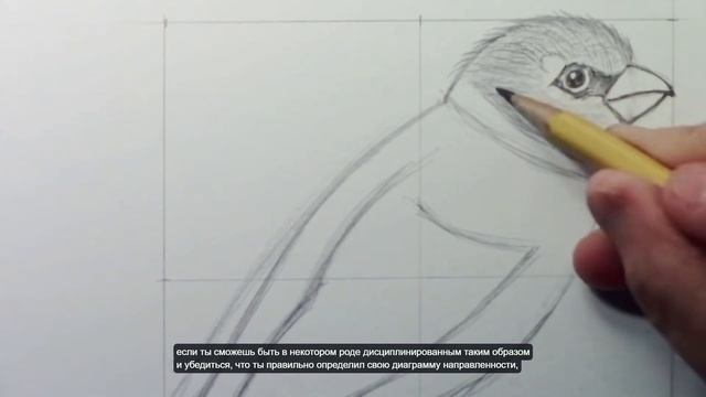 Как нарисовать птицу воробья пошаговая инструкция. How to Draw a Bird Narrated Step by Step смотреть онлайн
