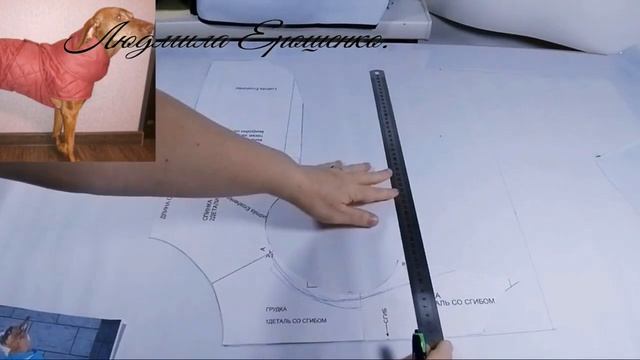 Как по выкройке жилета сшить попону для собаки. смотреть онлайн