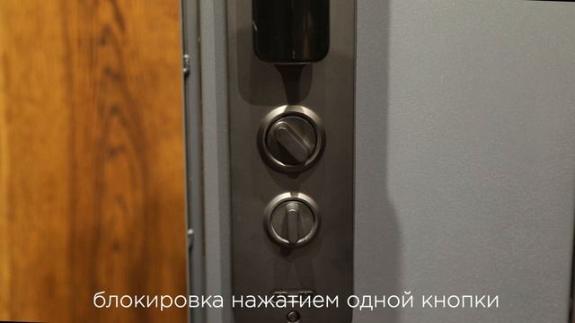 Биометрический врезной дверной замок DZ016 обзор с лого