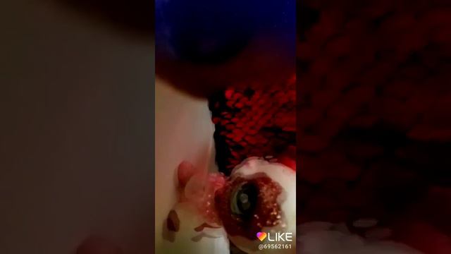 С днём святого валентина 😘😍😙😚 смотреть онлайн