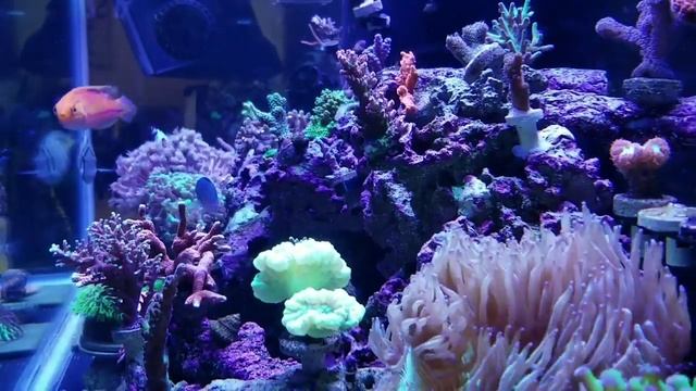 Песня Валерия Коропа ушедшего в Небеса. смотреть онлайн