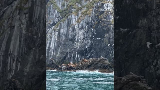 Туры по Камчатке. Зарисовки моих гостей, которые не остались равнодушными путешевствуя с нами. смотреть онлайн