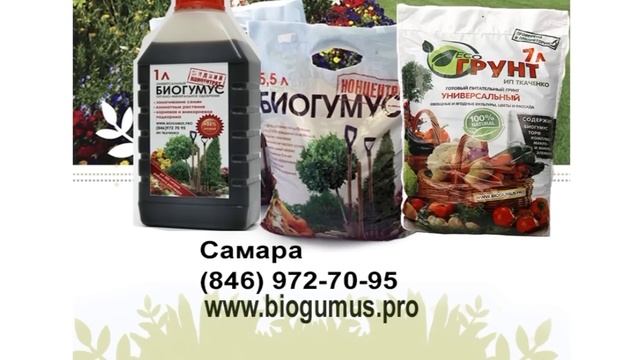 Дачные советы Галины Старосельцевой Декабрь 31-2022 смотреть онлайн