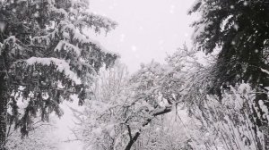 ❄️?   ВИА Пламя Юрий Петерсон Снег Кружится #best  #ЮрийПетерсон #новыйгод