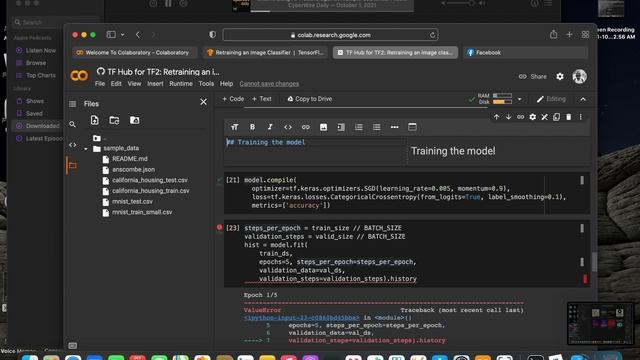 Image Recognition Example in Python смотреть онлайн