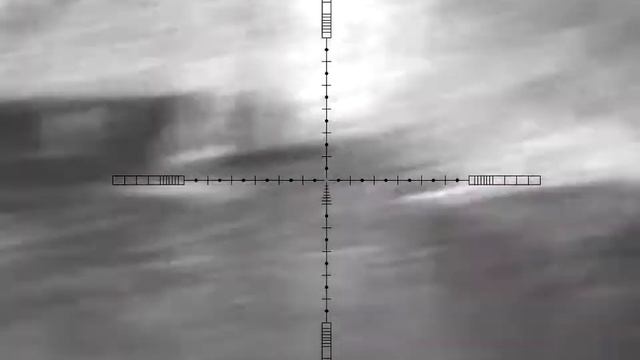 Ночная охота на Бобра с 223кл. Пульсар ультра 455 LRF. смотреть онлайн