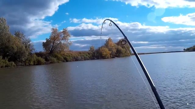 Толяныч представляет / Рыбалка / На Иртыше смотреть онлайн