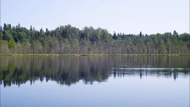 ?Практика Присутствия или ВДОХНОВЕННОЕ РУКОВОДСТВО ПО ОБРЕТЕНИЮ ЦЕЛИ И СМЫСЛА ЖИЗНИ?Тому, Кто Имеет смотреть онлайн