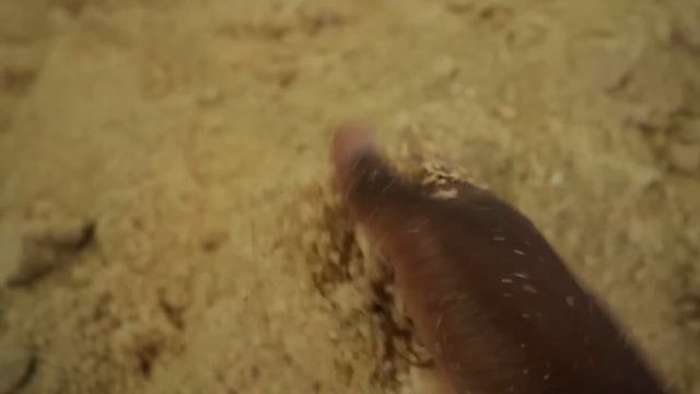 Come Explore My 3 Acre Poultry Farm With Me!