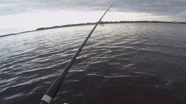 ЛОВЛЯ СУДАКА НА КАСТМАСТЕР. ЛОМАЮ СТЕРЕОТИПЫ. смотреть онлайн