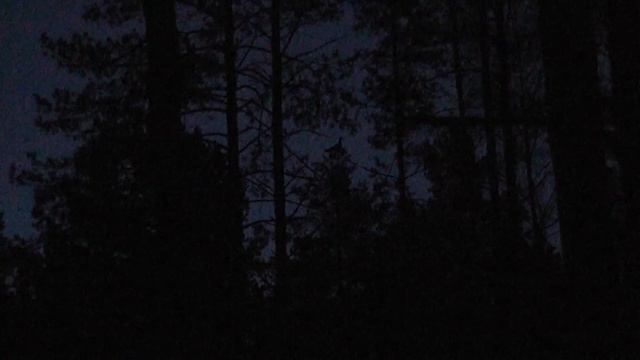 За песней глухаря смотреть онлайн