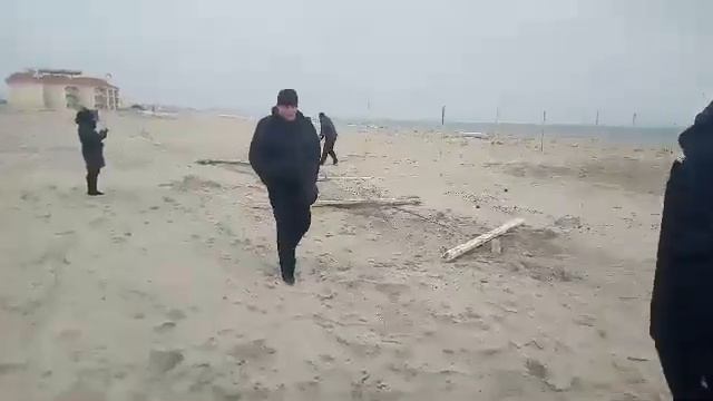 Активисты ломают сооружения на пляже в Затоке смотреть онлайн