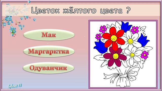 Викторина про цветы. Развивающее видео для детей..mp4 смотреть онлайн