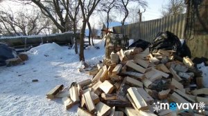 год эксплуатации  Топора PATRIOT PA 711 Logger X-Treme Cleaver и маленькая  хитрость  при колке дро