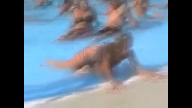 ПРЫГАЙТЕ СЮДА, ВОДА ТЁПЛАЯ