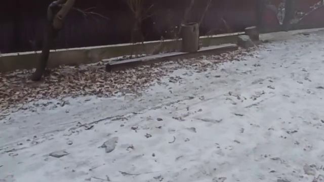 Три горішки для Попелюшки Зима, сніг, гуси ну і куди без горішків) смотреть онлайн