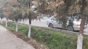 Карасу.Уртачирчикский р-н.Ташкентская область.#Казакстан.#Узбекистан.