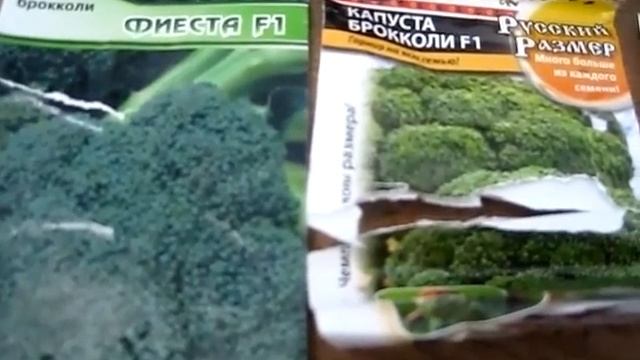 Капуста вырастает мощная. Потому что семена капусты сею рано весной на улицу. смотреть онлайн