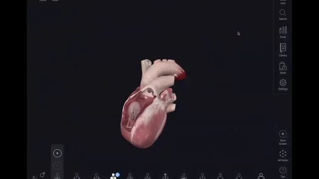 MRCS ?️ OSCE - Thorax (Anatomy) Sample video. смотреть онлайн