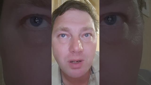 Стихи о рыжей дворняге. В память нашему пекинесу. Загрызла чужая овчарка в собственном дворе. смотреть онлайн