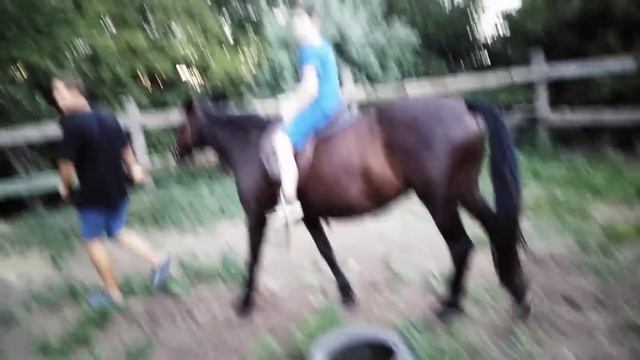 NICKSHOW - ПОНИ, ЛОШАДЬ, МУЛ - Отличия смотреть онлайн