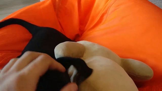 Я Лабрадор! Анекдот про Вовочку. смотреть онлайн