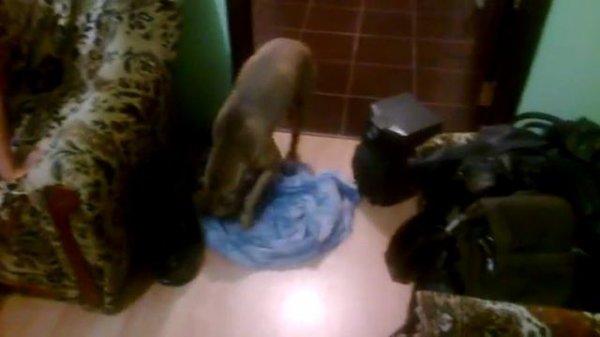 Пора ложится спать