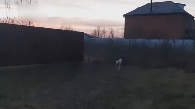 Идите садитесь/Лайки на посадке/ смотреть онлайн