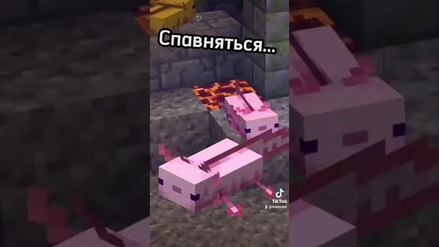 КАКОЙ САМЫЙ РЕДКИЙ АКСОЛОТЛЬ В МАЙНКРАФТ #МАЙНКРАФТ смотреть онлайн