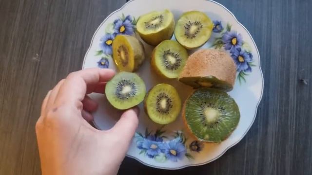 Киви в Сочи смотреть онлайн