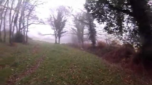 Bretagne setter anglais chasse смотреть онлайн