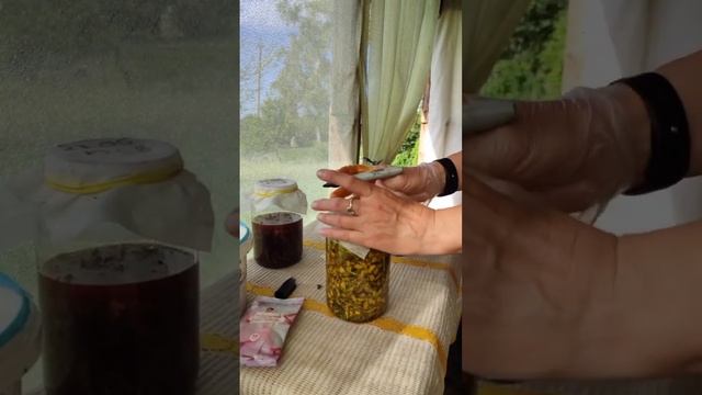 Домашняя кухня