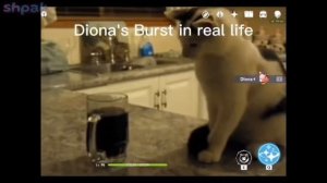 ГЕНШИН ИМПАКТ ПОДБОРКА МЕМОВ #20