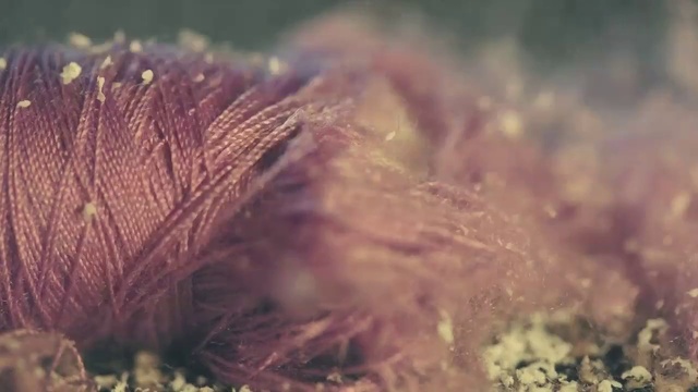 Décomposition d'objets en Time Lapse смотреть онлайн