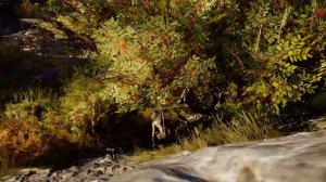 Assassin's Creed  Odyssey nude greece mod