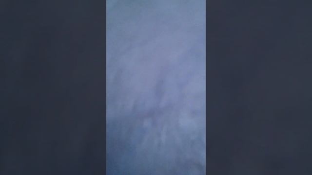 У меня есть номер Виталика